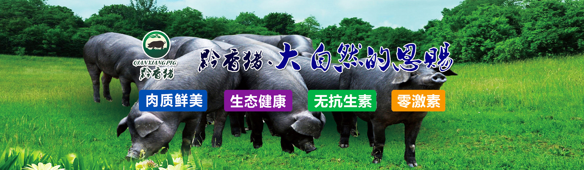 贵州黔香猪业有限公司【官网】